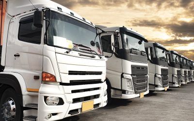 Una historia de compromiso y crecimiento: Transportes Cañada Serrano S.L